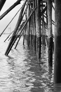 Estuaire de la Loire - Loire Estuary
