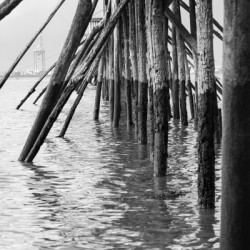 Estuaire de la Loire - Loire Estuary