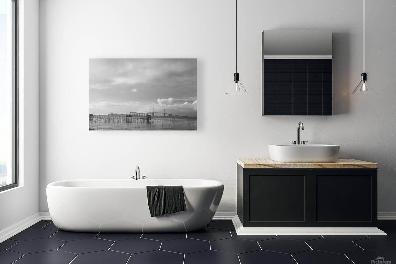 Estuaire de la Loire - Loire Estuary Reproduction