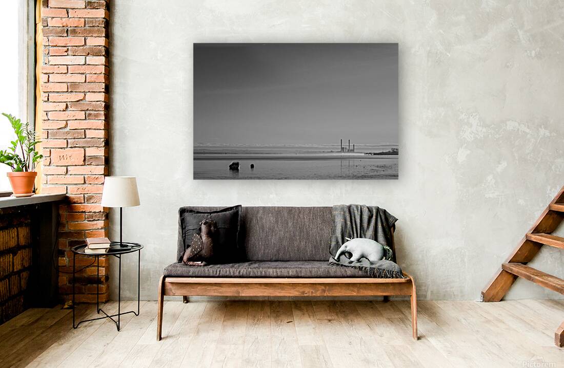 Estuaire de la Loire - Loire Estuary Reproduction