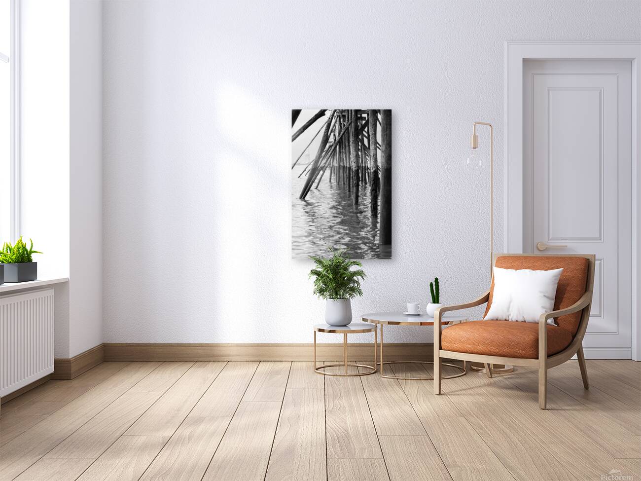 Estuaire de la Loire - Loire Estuary Reproduction